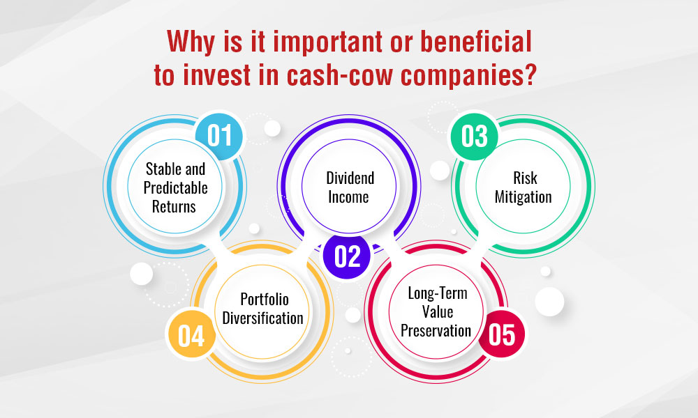 Why is it important or beneficial to invest in cash-cow companies